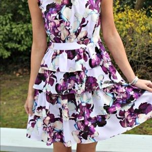 Banana Republic Floral Ruffle Dress 8P